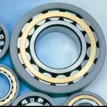 Picture for category Electric Motor Bearings