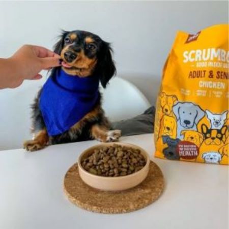 Picture for category Dog Food
