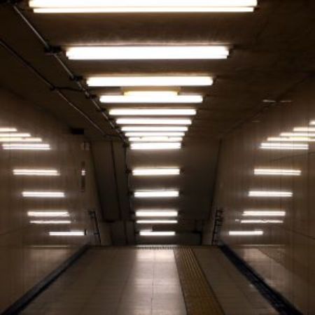 Picture for category Fluorescent