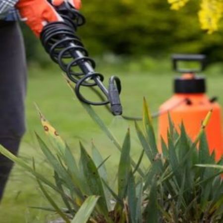 Picture for category Weed & Pest Control