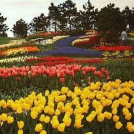 Picture for category Garden & Pool