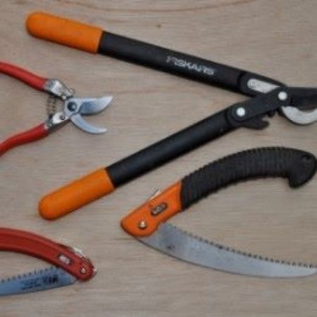 Picture for category Clippers, Cutters & Saws 