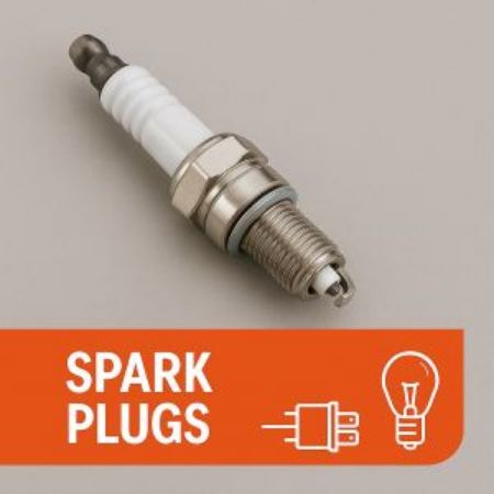 Picture for category Spark Plugs