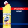 Picture of DOMESTOS MULTIPURPOSE BLEACH - LEMON 750ML