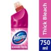 Picture of DOMESTOS THICK BLEACH - SUMMER FRESH 750ml