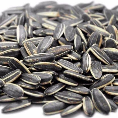 Picture of CATERWISE RAW SUNFLOWER SEEDS IN SHELL 1KG