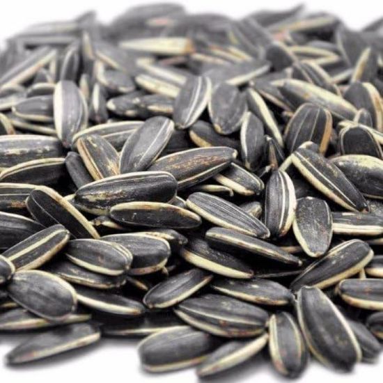 Picture of CATERWISE RAW SUNFLOWER SEEDS IN SHELL 2KG