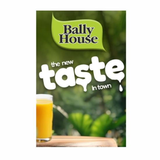 Picture of BALLY HOUSE ORANGE DAIRY BLEND 2L  