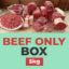 Picture of BEEF ONLY BOX