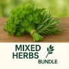 Picture of MIXED HERBS BUNDLE