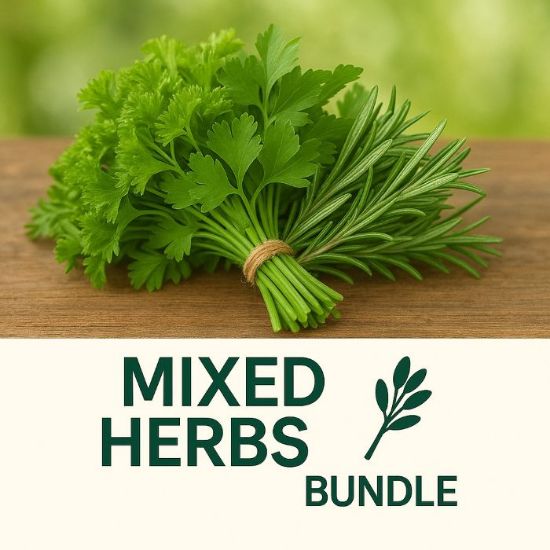 Picture of MIXED HERBS BUNDLE