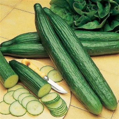Picture of ENGLISH CUCUMBER EACH