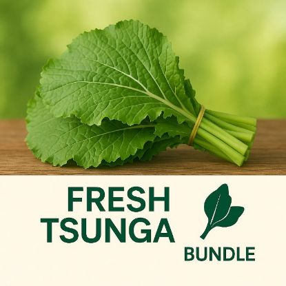 Picture of TSUNGA BUNDLE