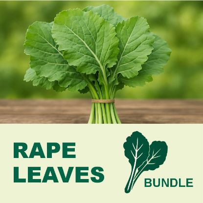 Picture of RAPE BUNDLE