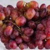 Picture of RED GRAPES PUNNET