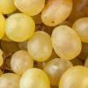 Picture of WHITE GRAPES PUNNET