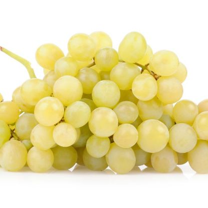 Picture of WHITE GRAPES PUNNET