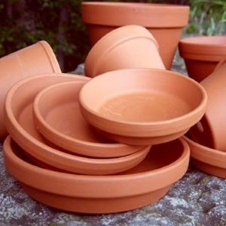 Picture for category Pots & Trays
