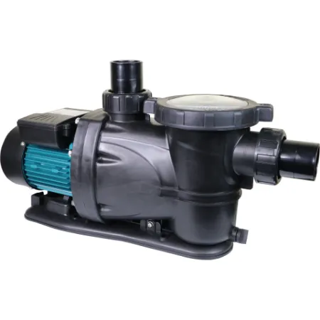 Picture for category Pool Pumps