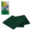 Picture of WENDY CARE STROPPY SCOURER PAD 3's