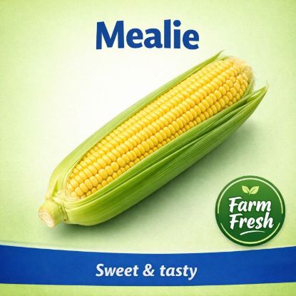Picture of FRESH MEALIES
